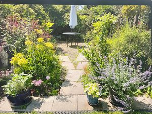 Garden- click for photo gallery